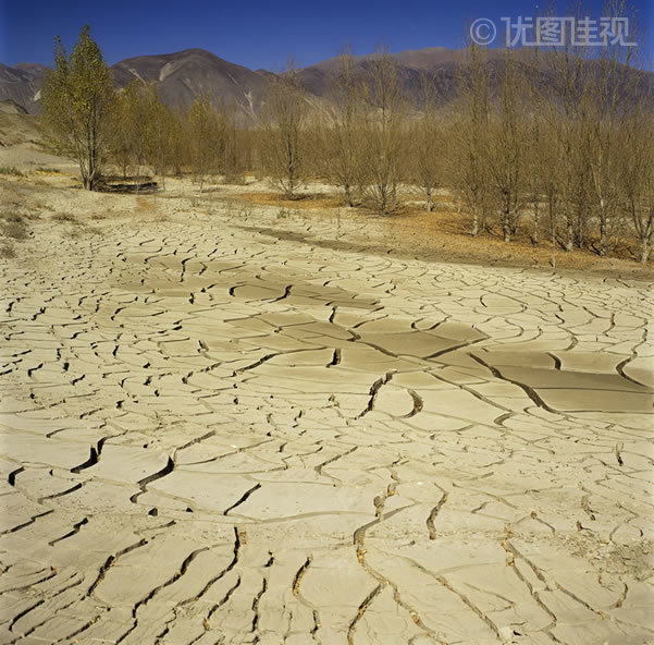 干涸的土地
